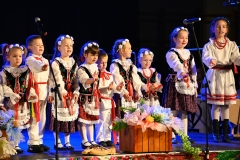 DSC_7304-Copy
