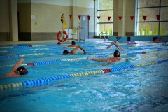batch_DSC07235