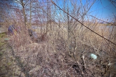 batch_IMG-20250331-WA0009