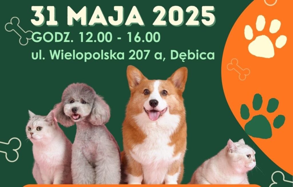 Dzień Otwarty w Miejskim Schronisku dla Bezdomnych Zwierząt
